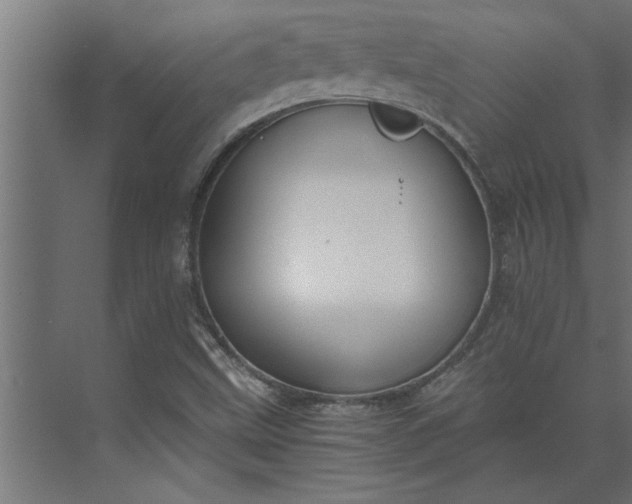 X0000073921499200608251536