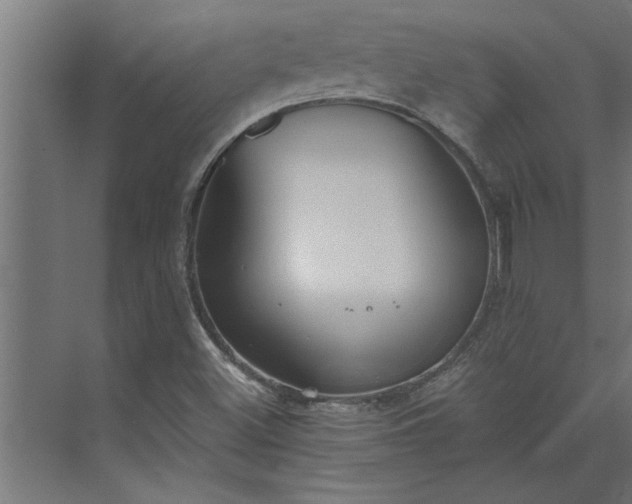 X0000073921500200608251536