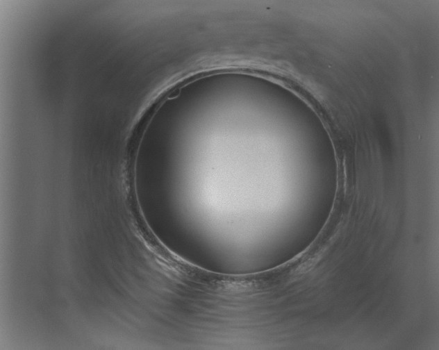 X0000073921501200608251536