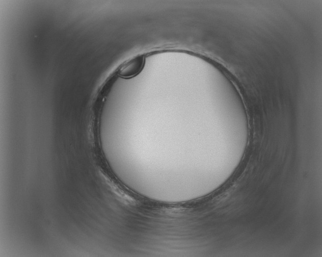 X0000073921502200608251536