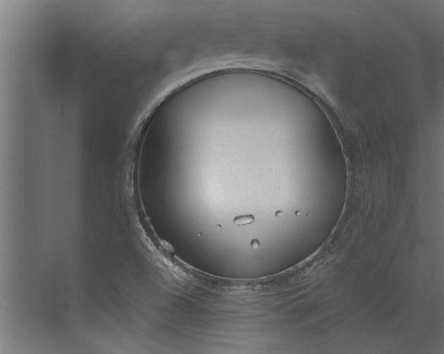 X0000073921504200608251536