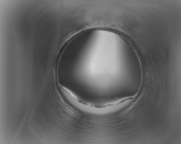 X0000073921505200608251536