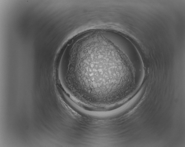 X0000073921506200608251536