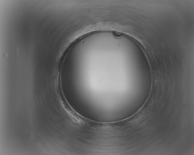 X0000073921507200608251536