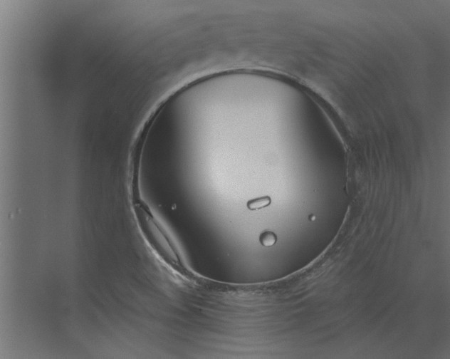 X0000073921508200608251536