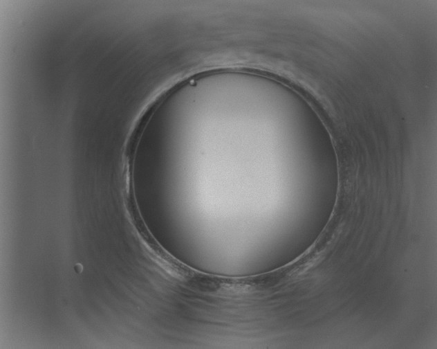 X0000073921509200608251536