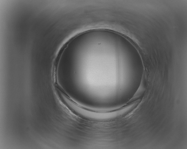 X0000073921510200608251536