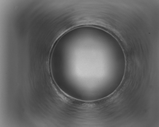 X0000073921513200608251536