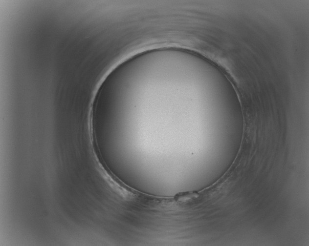 X0000073921516200608251536