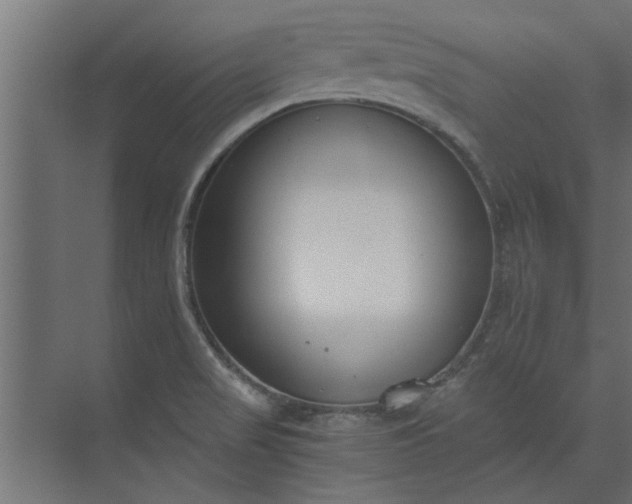 X0000073921517200608251536