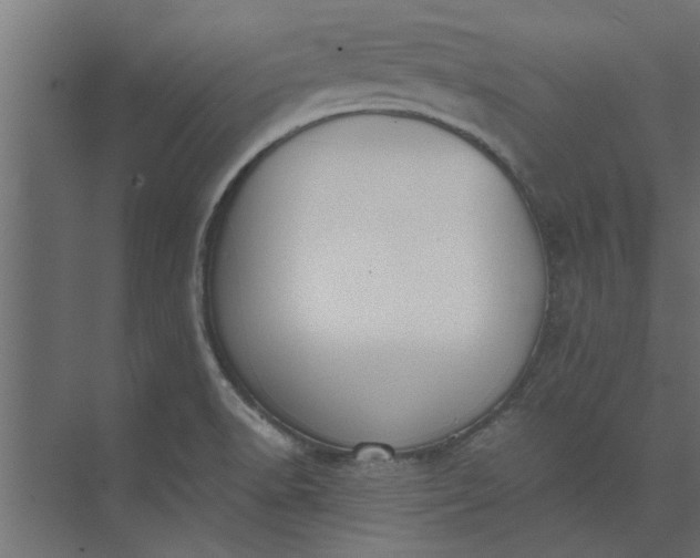 X0000073921518200608251536