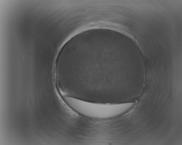 X0000073921522200608251536