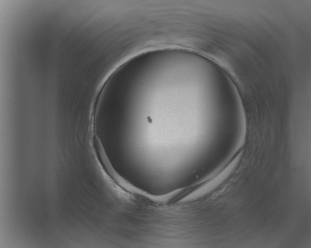 X0000073921524200608251536