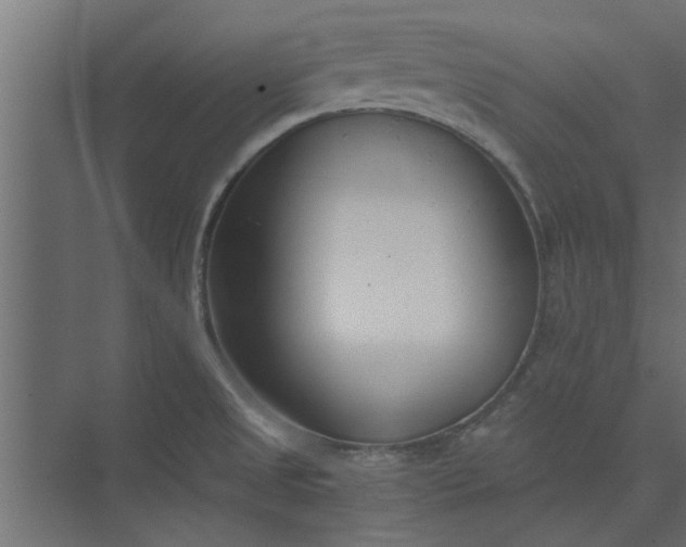 X0000073921525200608251536