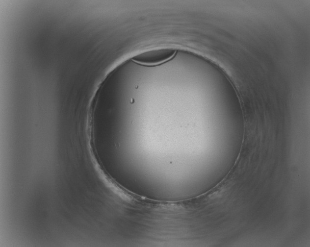 X0000073921526200608251536