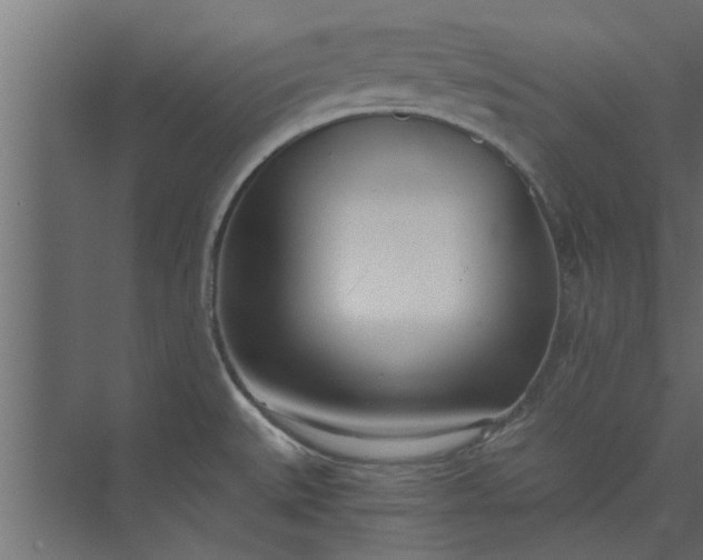 X0000073921527200608251536