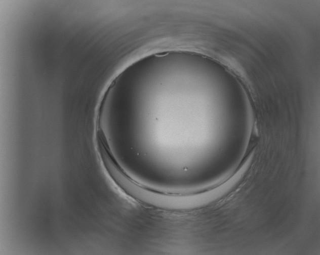 X0000073921528200608251536