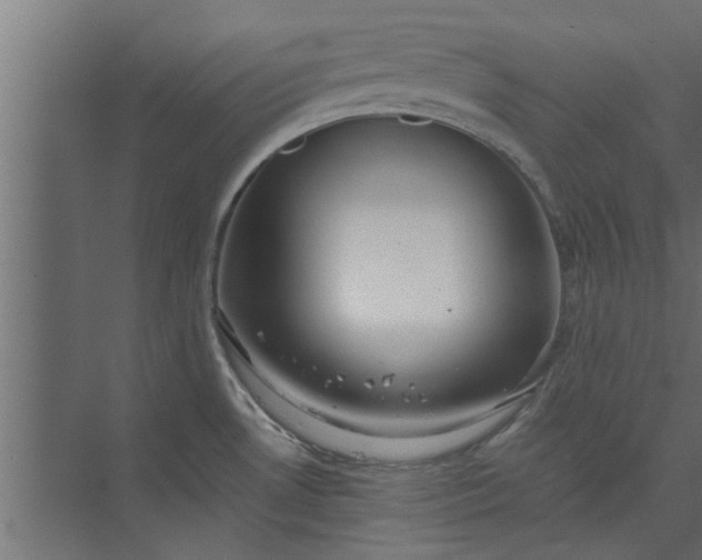 X0000073921530200608251536