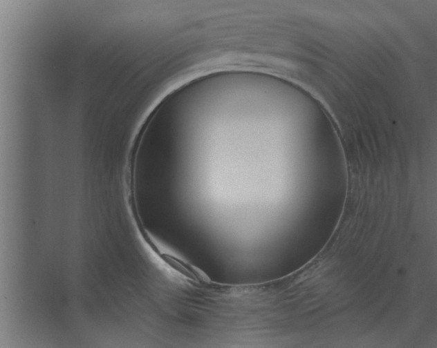 X0000073921531200608251536