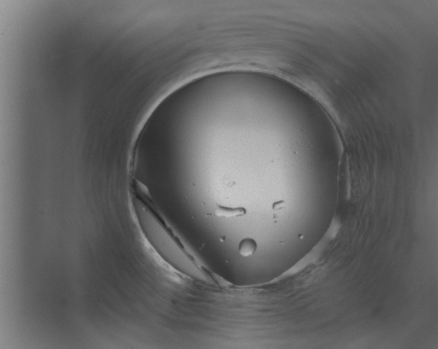 X0000073921532200608251536