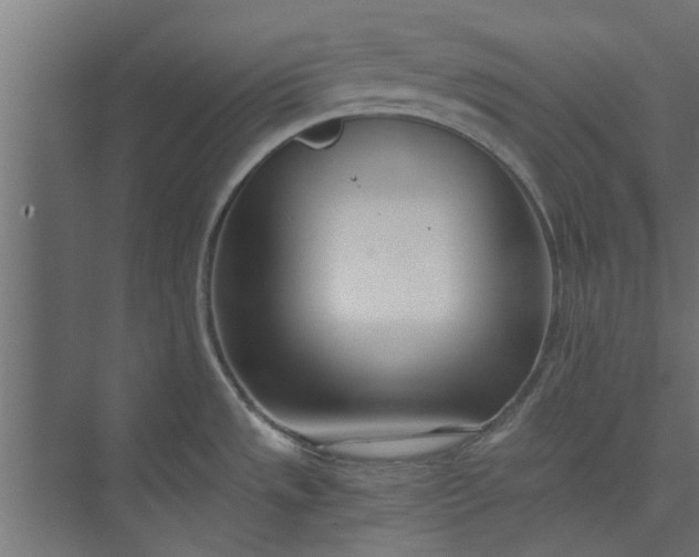 X0000073921533200608251536