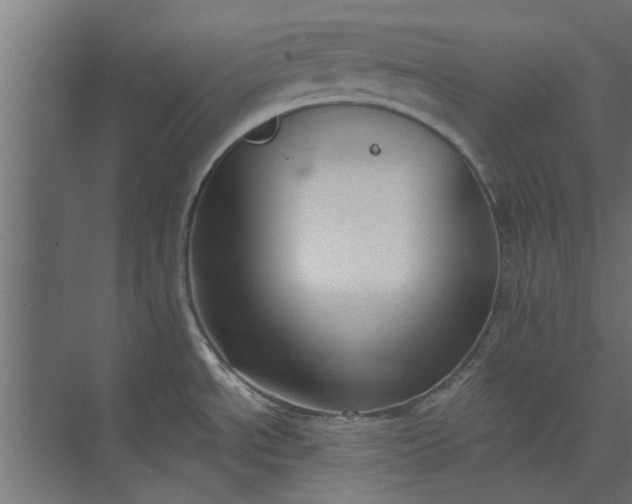 X0000073921534200608251536