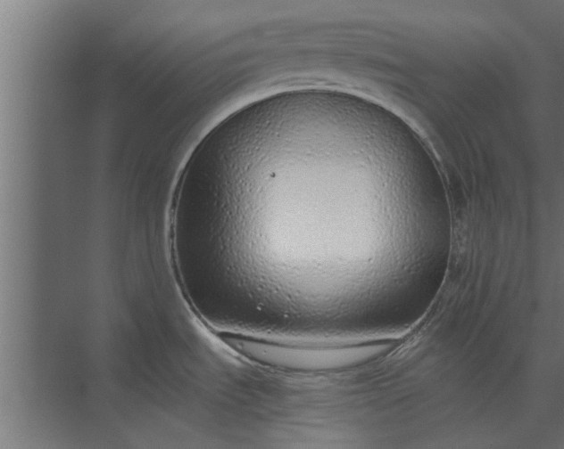 X0000073921535200608251536