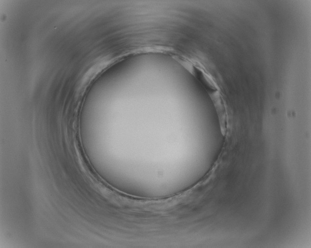 X0000073920001200609011821