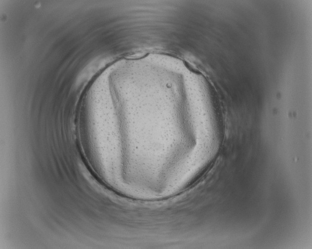 X0000073920002200609011821