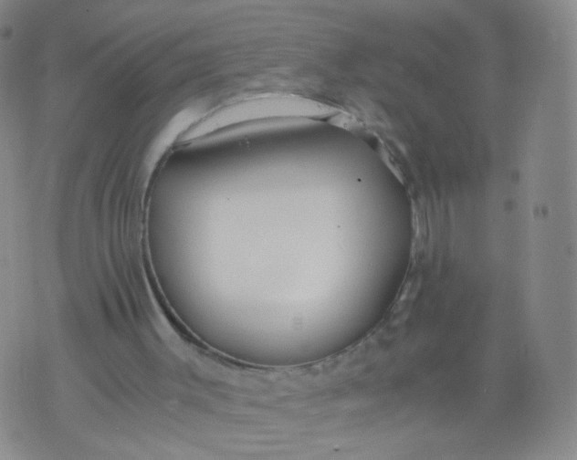 X0000073920003200609011821