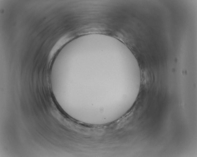 X0000073920004200609011821