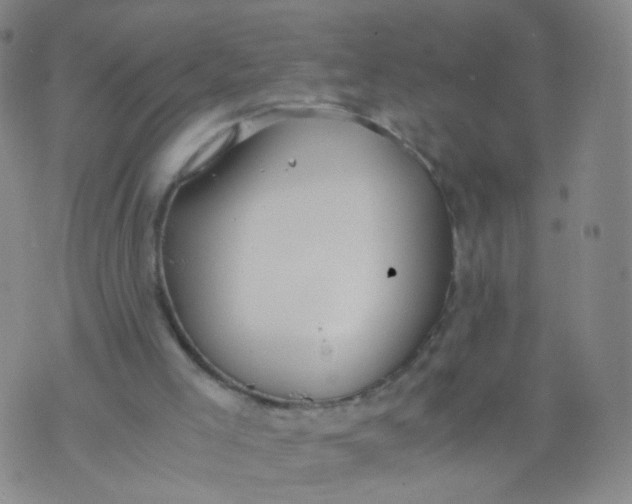 X0000073920005200609011821