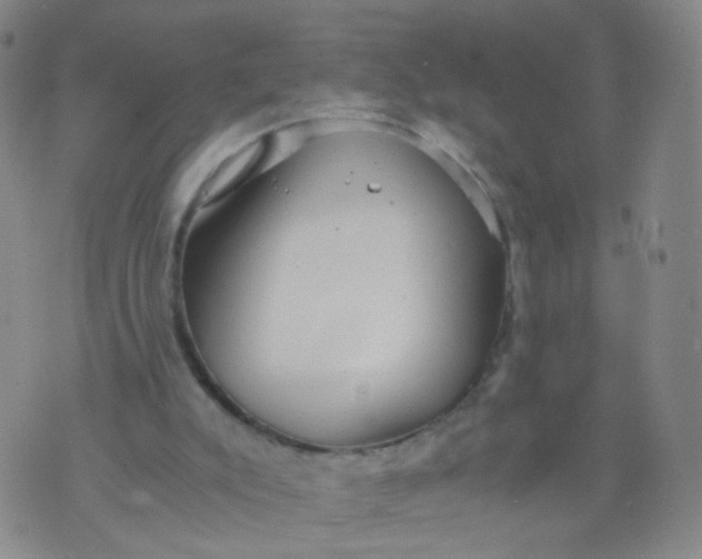 X0000073920007200609011821