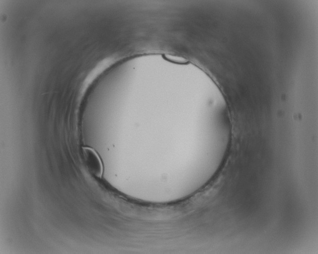 X0000073920008200609011821