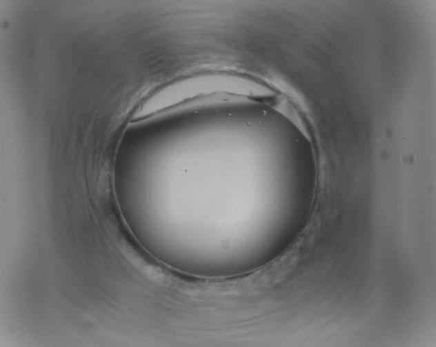 X0000073920009200609011821