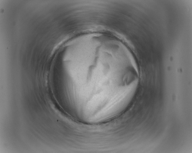 X0000073920010200609011821