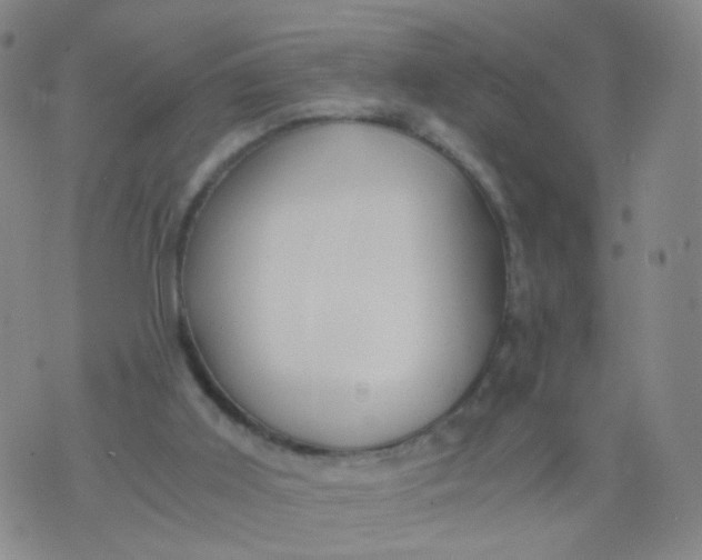 X0000073920011200609011821