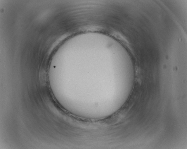 X0000073920012200609011821