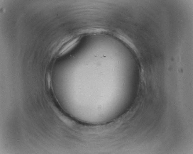 X0000073920013200609011821