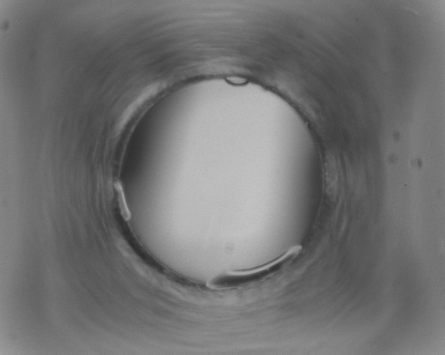 X0000073920015200609011821