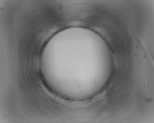 X0000073920016200609011821