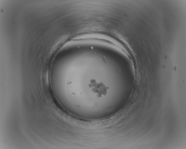 X0000073920019200609011820