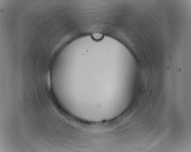 X0000073920020200609011820