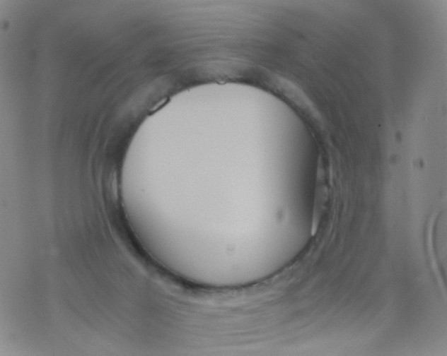 X0000073920021200609011820