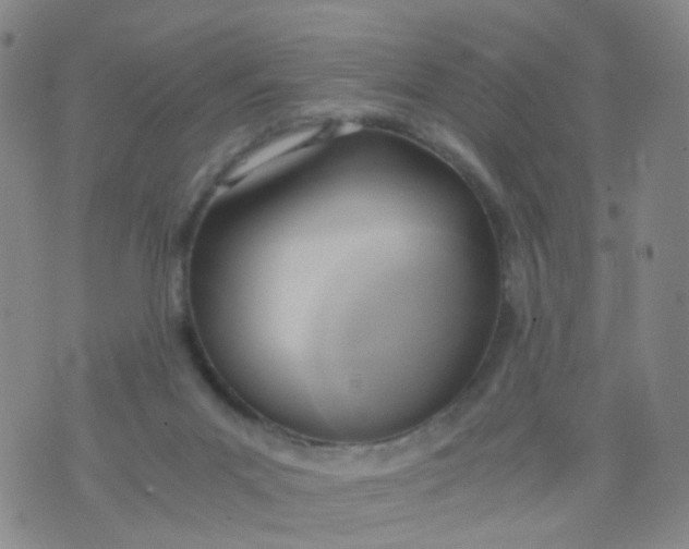 X0000073920023200609011820