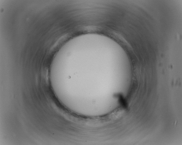 X0000073920024200609011820