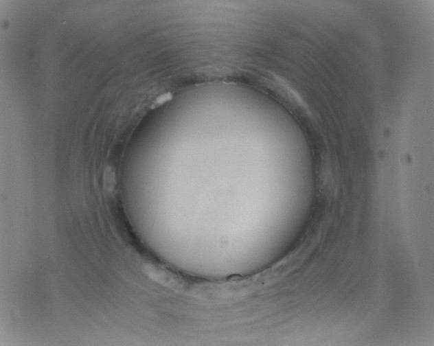 X0000073920025200609011820