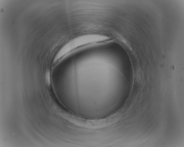 X0000073920027200609011820