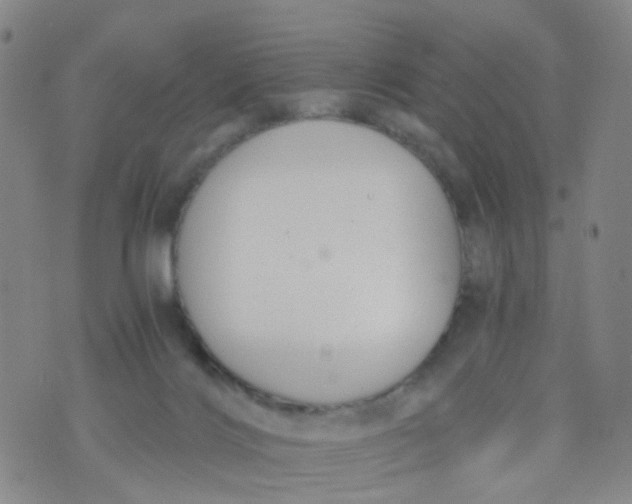 X0000073920028200609011820