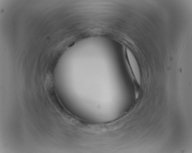 X0000073920029200609011820